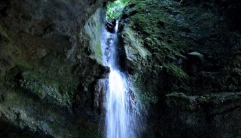 جنگل و آبشار پلنگ دره مازندران | راهنمای سفر + عکس و آدرس