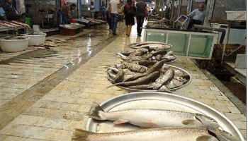 بازار ماهى تنکابن
