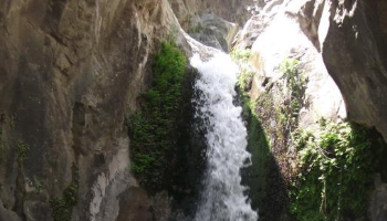  آبشار دلفارد
