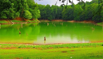 دریاچه چورت ؛ دریاچه ای در دل جنگل | رهی نو 