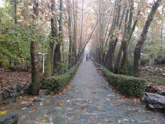 بخش‌های مختلف پارک جمشیدیه تهران