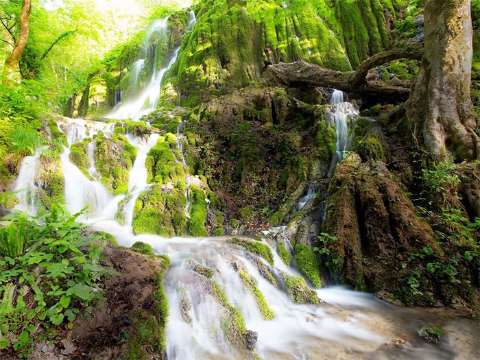 آبشار اوبن از جاذبه‌های نزدیک جنگل راش