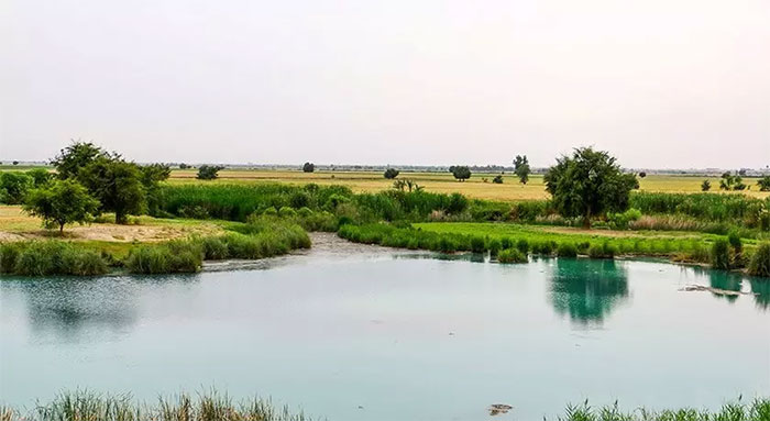 رودخانه شاوور از جاذبه‌های مسیر تهران آبادان