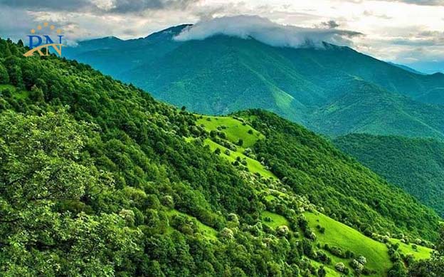 آشنایی-با-دیدنی‌ترین-جنگل‌‌های-ایران